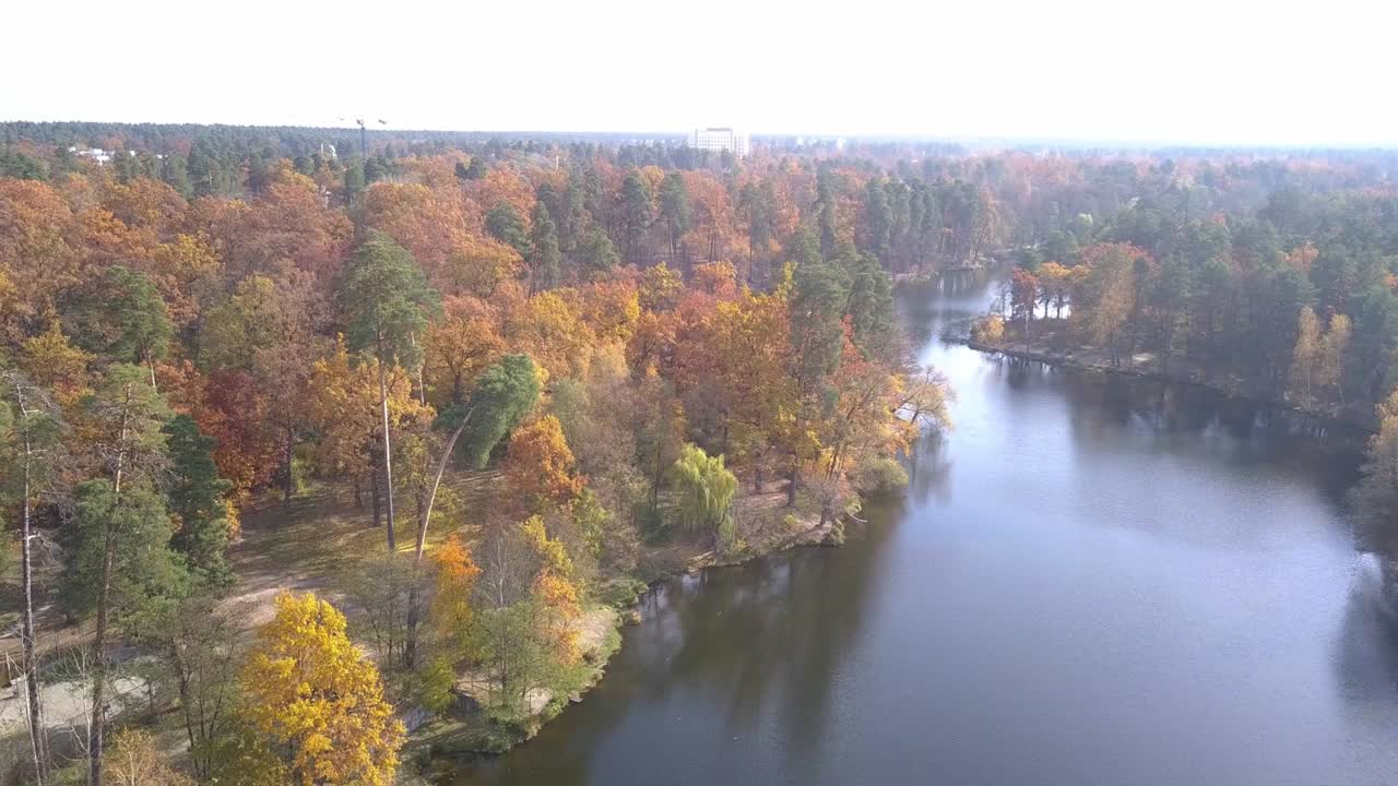 río cerca de kiev en el bosque de otoño de pusha voditsa