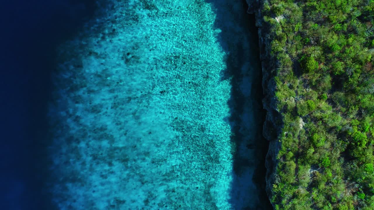 Ondulações brilhantes na água e sombra da costa de falésias verdes de Curaçao, ascensão aérea