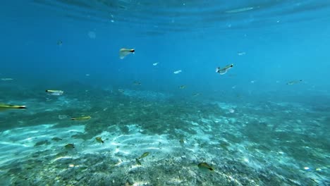 An-underwater-scene-of-crystal-clear-turquoise-water