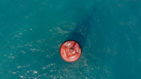 aerial shot of a red buoy in a beautiful blue sea
