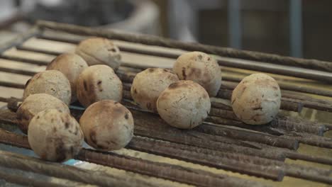 litti is one of the popular dishes of bihar, india