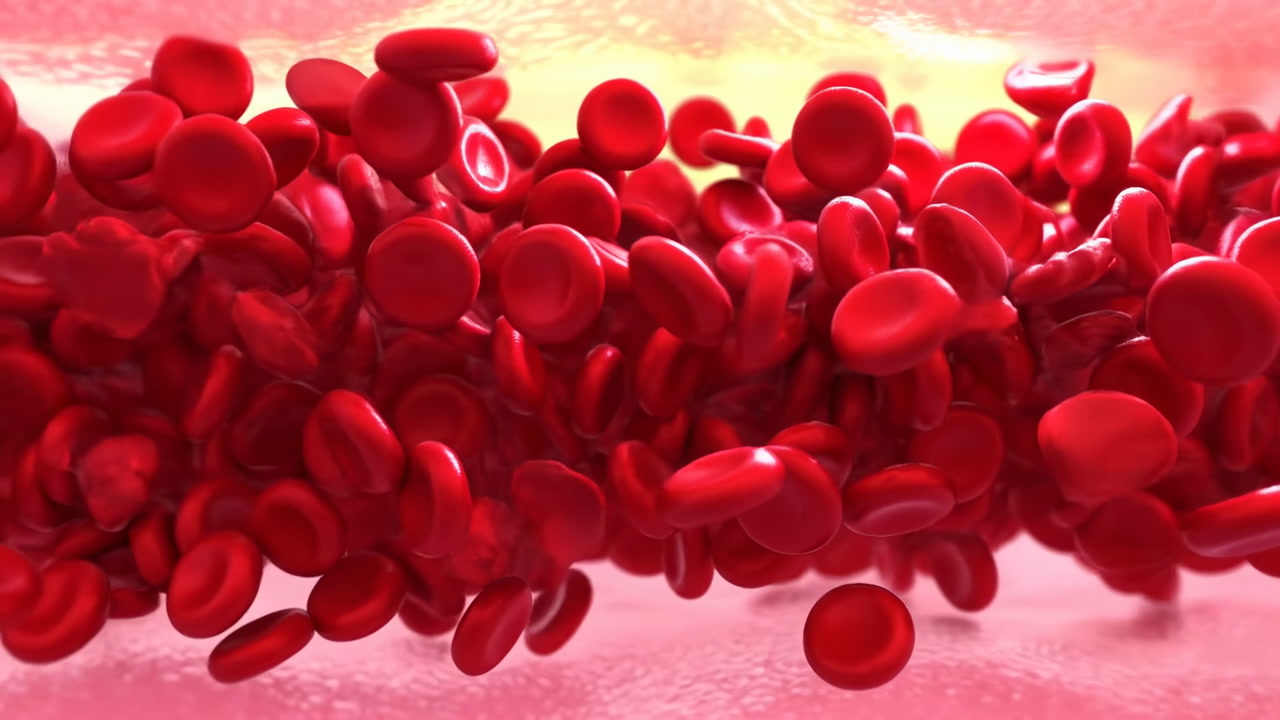 Red Blood Cells Rushing Through Vessel, Dense Erythrocyte Flow With Warm Backlight And Realistic Plasma Sheen,