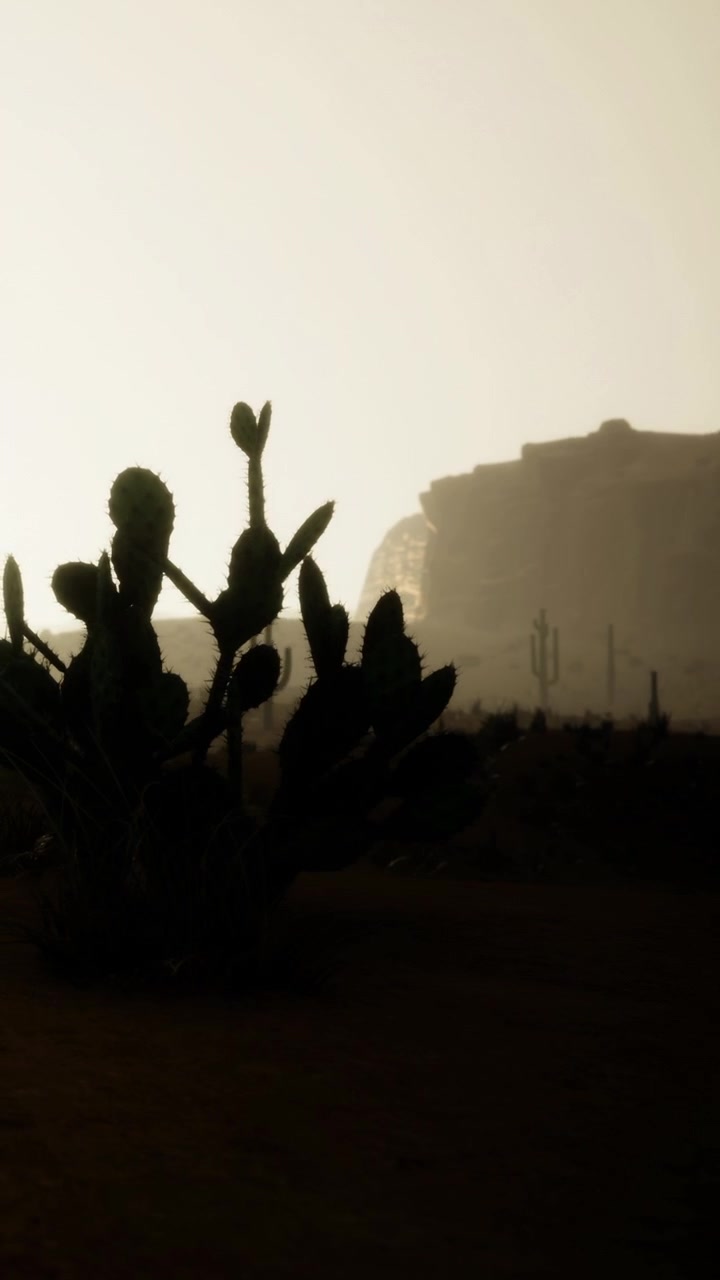 Silhouette di cactus al tramonto con rocce distanti nel deserto
