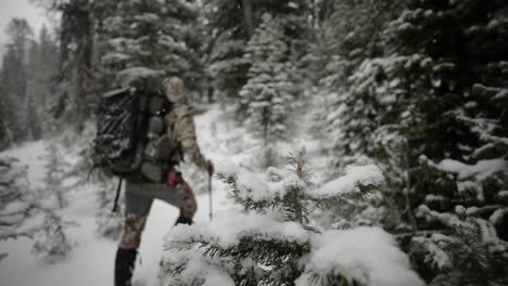 archery bow elk hunting in the snow in montana in october in the snow