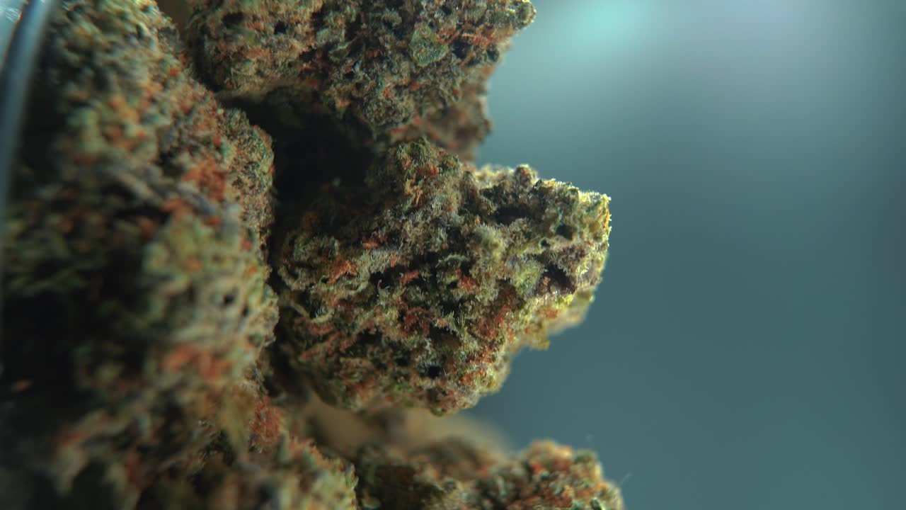 A vertical macro cinematic detailed shot of a cannabis plant, orange hybrid strains, Indica and sativa weed ,green crispy marijuana flower, on a rotating stand, slow motion, 4K video, studio lighting