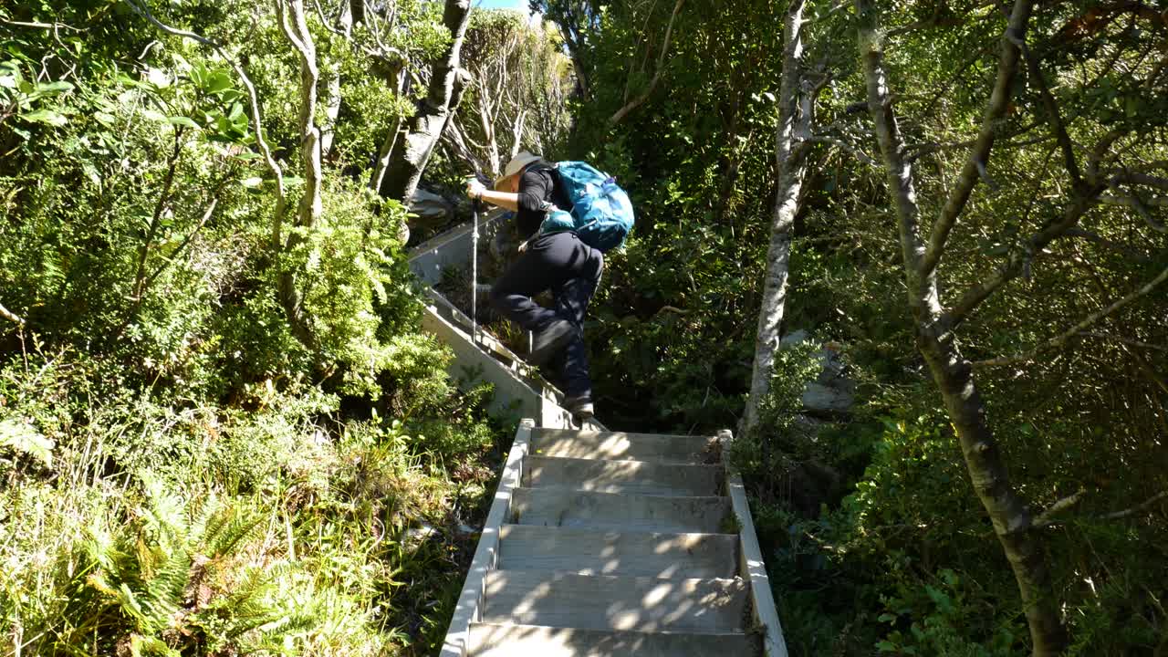 hiker climbs wooden steps up hillside in forest