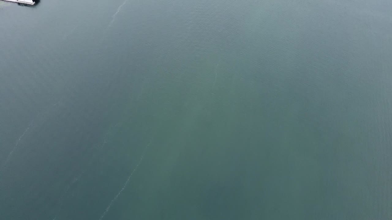 Aerial shot of house docks along beach