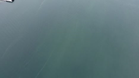 aerial shot of house docks along beach