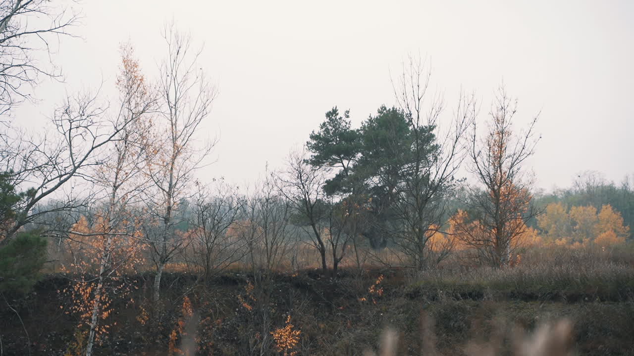 un joven y atractivo hombre de negocios barbudo con una chaqueta azul consulta atentamente su teléfono inteligente