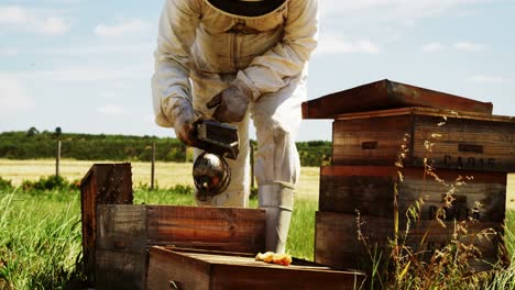 beekeeper smoking the bees away from hive