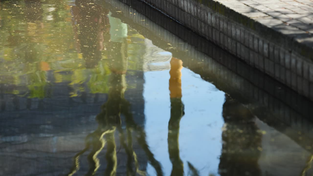 Diverse women leaning near reflecting pool creating ripples, walker passing bollard in sneakers