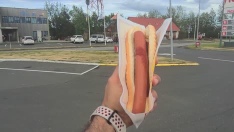 hot-dog-made-in-iceland