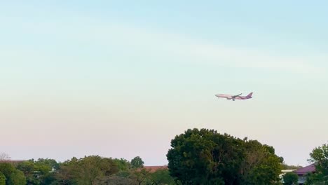 a plane flies gracefully above a landscape of trees under a clear sky at dusk.