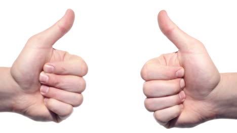 two thumbs up isolated on a white background