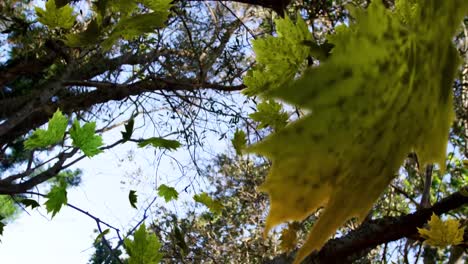 Animation-of-multiple-leaves-falling-over-green-forest