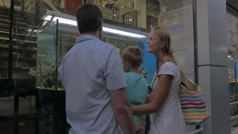 family watching aquarium in shop show-window