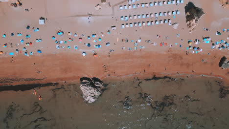 People-walking-on-the-beach-during-the-summer-in-Praia-Dona-Ana-in-the-Algarve-in-Portugal,-aerial-drone-view