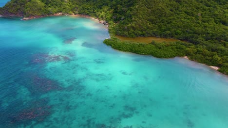 aerial of turquoise water and green forest at tayrona park, colombia