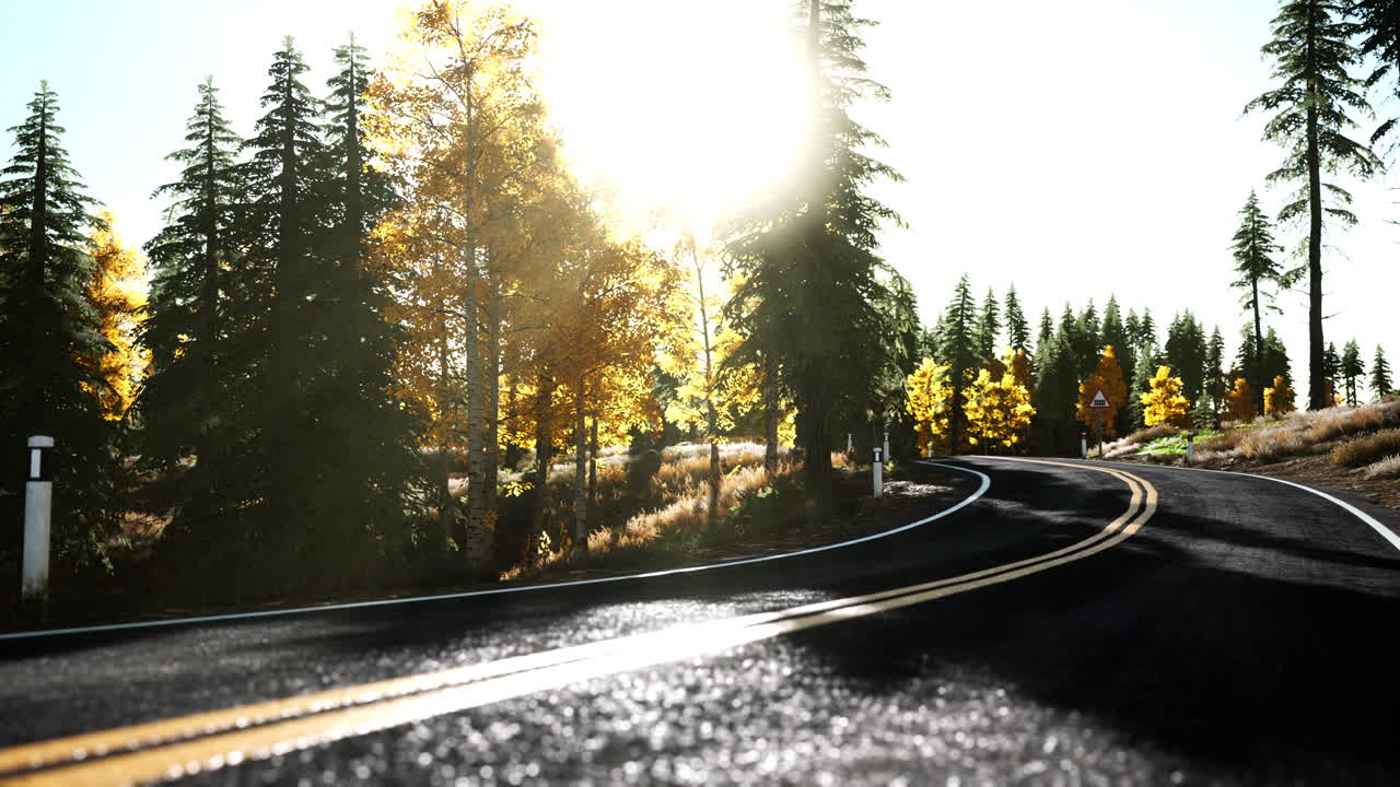 camino del bosque bajo los rayos del sol al atardecer