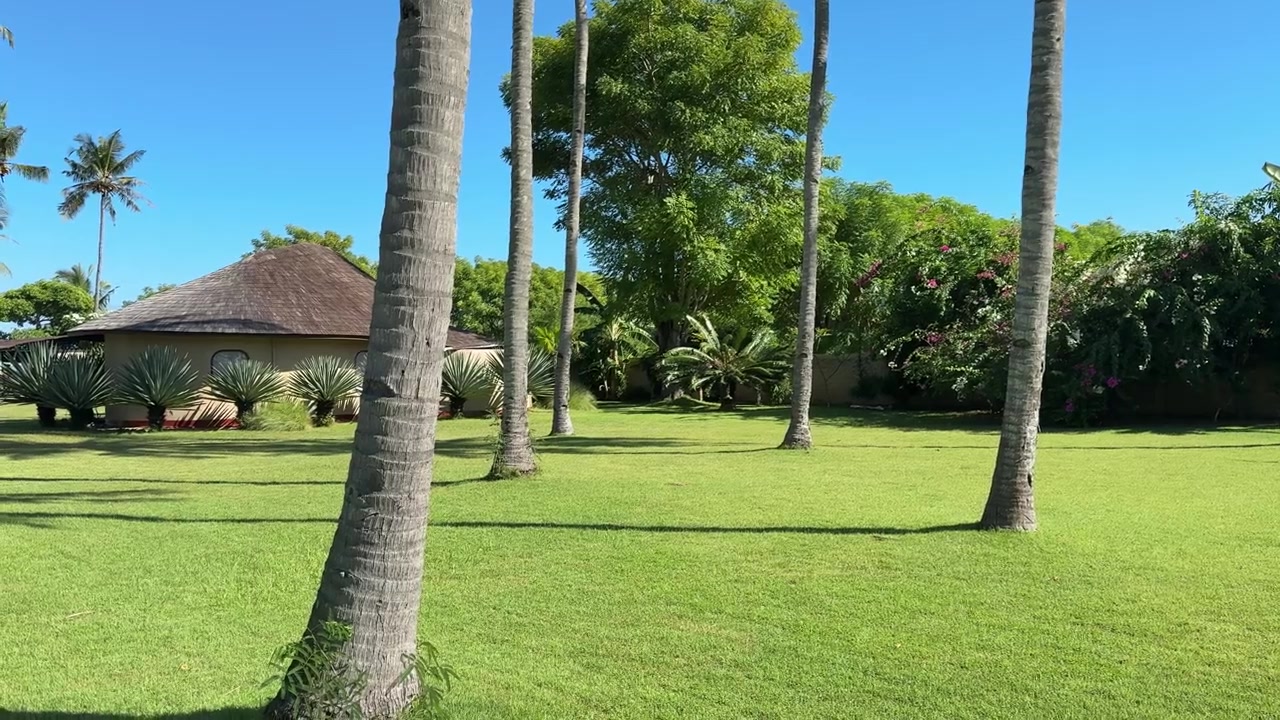 Halaman Rumput Hijau Subur dengan Pohon Palem dan Rumah Tropis di Hari yang Cerah