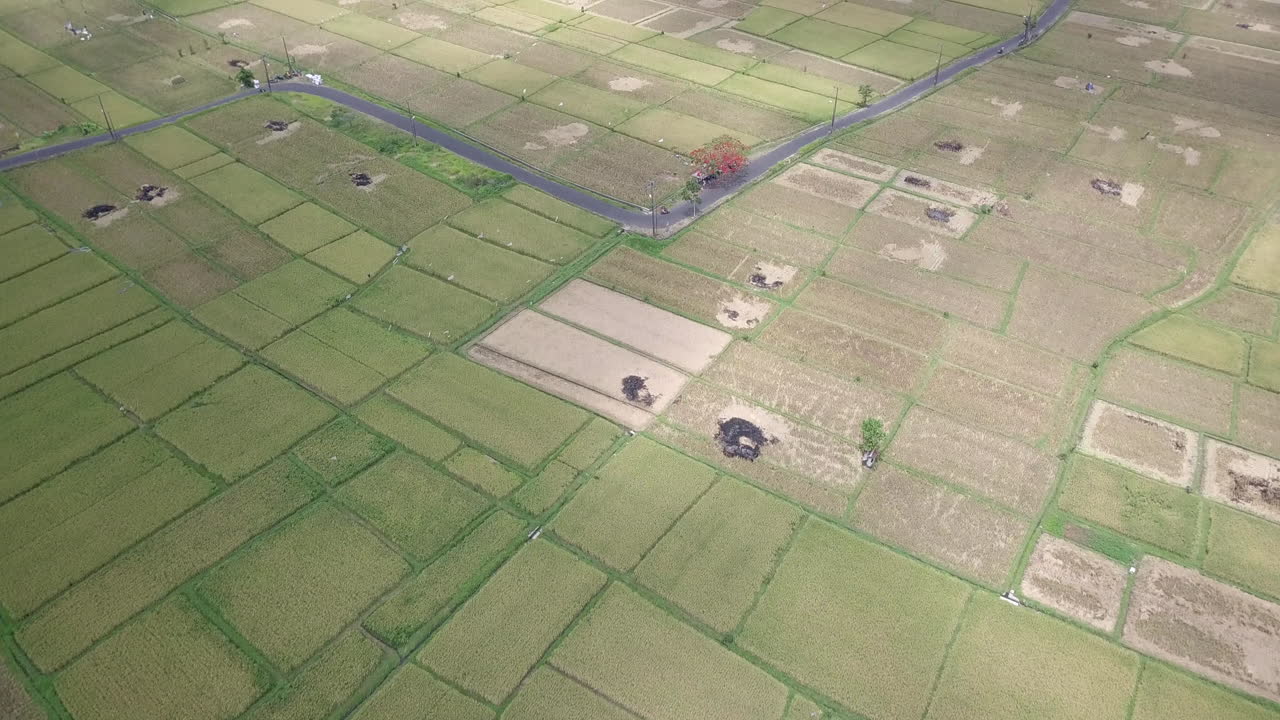 바리 , 자동차 교통 및 주요 도로를 따라 집의 공중 사진