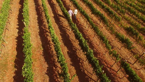 Drone-footage-of-couple-walking