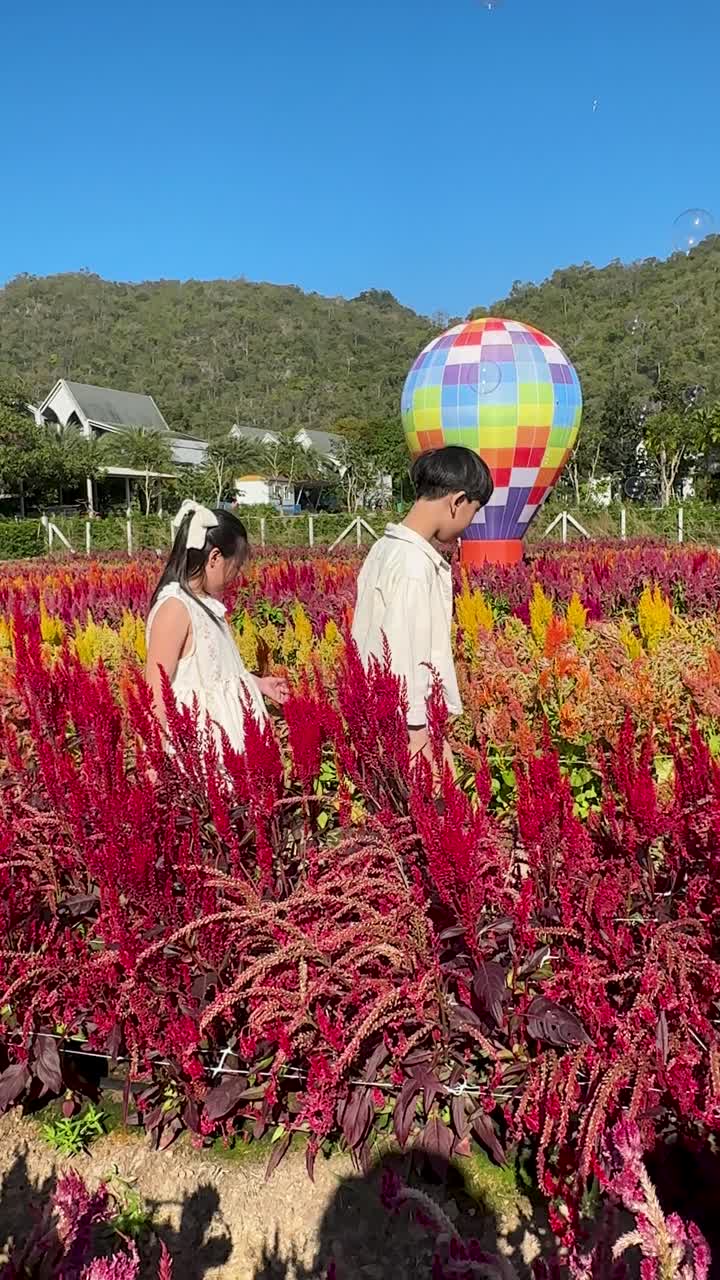 Duas crianças exploram um campo de flores colorido sob a luz do sol brilhante com um balão de ar quente