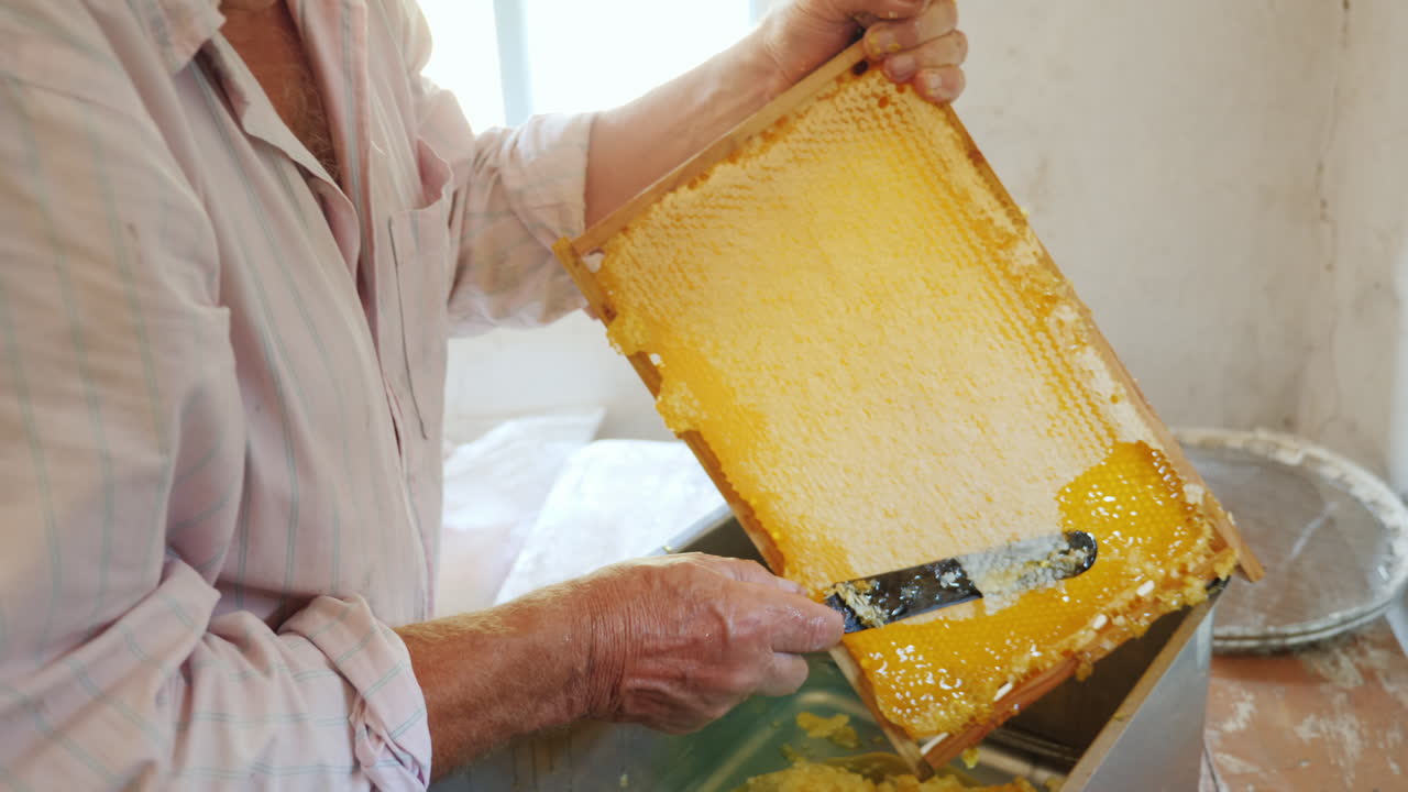 un apicultor anciano trabaja con marcos para el trabajo manual de miel en el video colmenar 4k