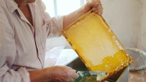 An-Elderly-Beekeeper-Works-With-Frames-For-Honey-Manual-Labor-In-The-Apiary-4k-Video