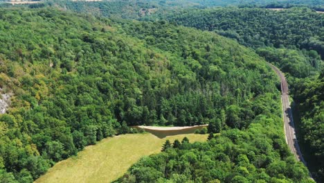 toma aérea del bosque francés en verano