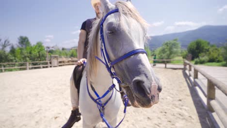 Der-Mann-Auf-Dem-Pferd.