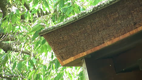 side-view of japanese house roof showing hinoki bark construction