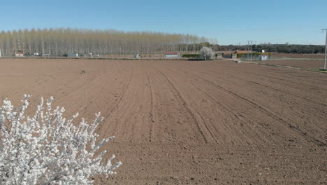 Las-Flores-De-Primavera,-Vista-Aérea