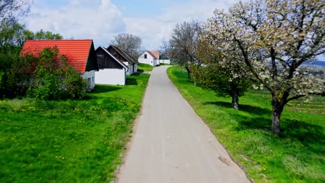 road along the wine cellar and press houses in the weinviertel in austria