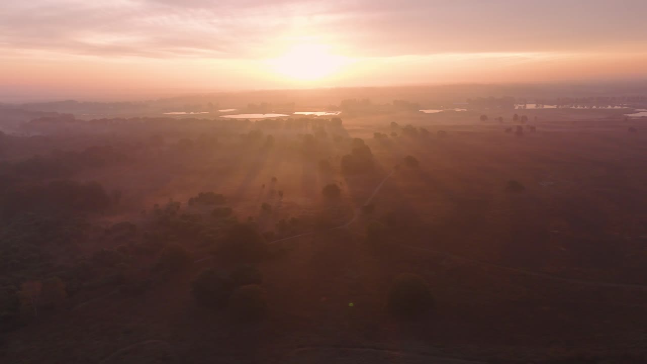 el amanecer sobre el paisaje brumoso