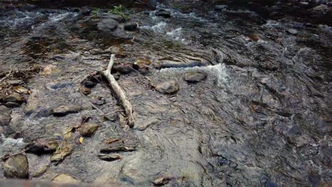 Agua-Que-Fluye-Río-Abajo-Sobre-Pequeñas-Rocas-En-Cámara-Lenta