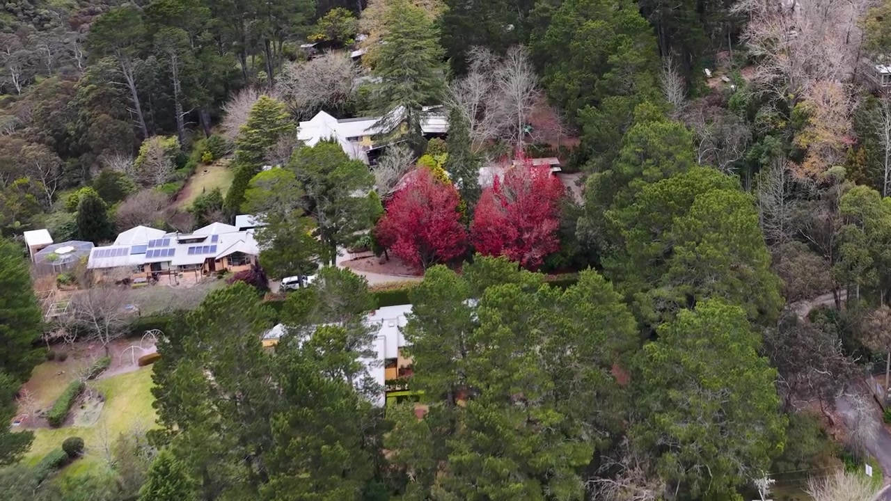 Hình ảnh drone bay qua những ngôi nhà dân cư và cây cối mùa thu ở Wentworth Falls, Dãy núi Blue, Úc.