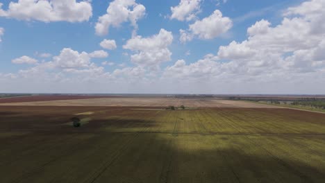 vista aérea de los campos agrícolas