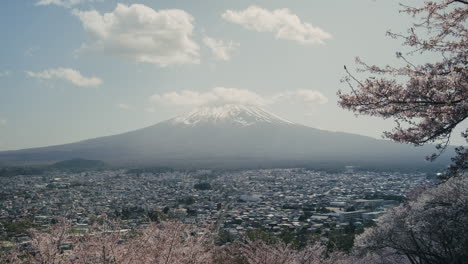 mount fuji and cherry blossoms in spring