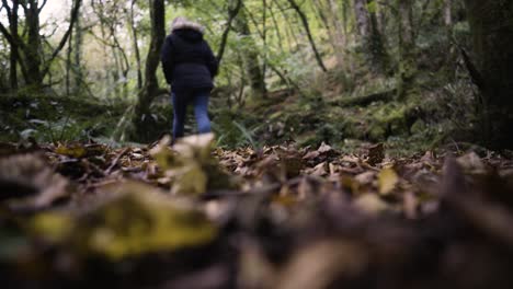 una mujer caminando dentro de la jungla de kennall vale cerca de ponsanooth, cornwall, inglaterra