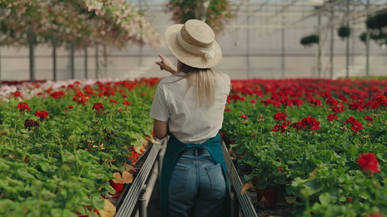 Woman walking through a greenhouse filled with blooming red flowers