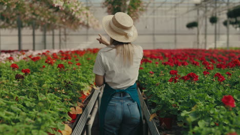woman walking through a greenhouse filled with blooming red flowers