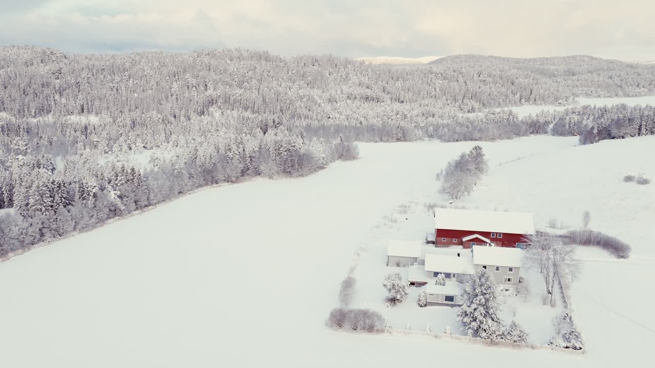 창고 와 오두막 근처 에 있는 눈 인 숲 의 시골 장면