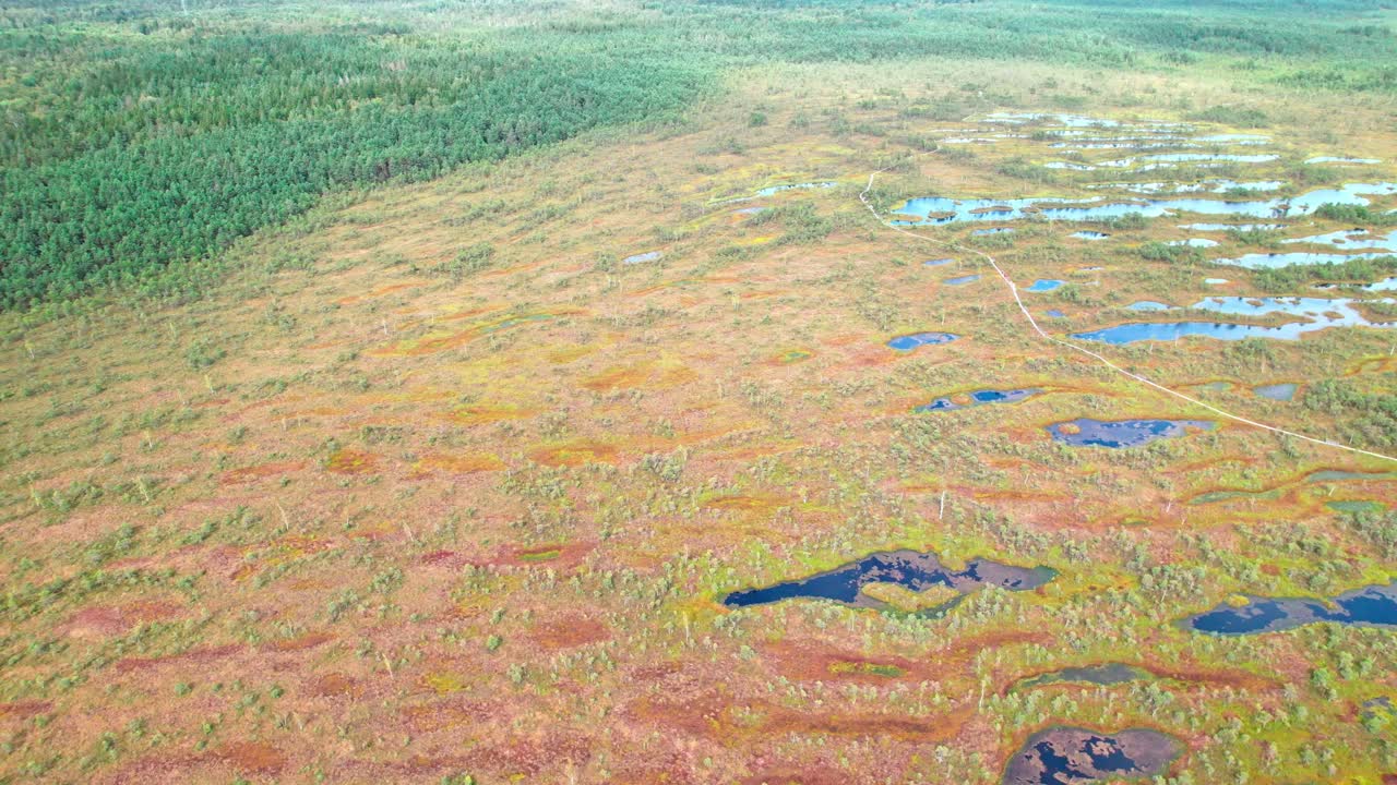 Aerial view of Kemeri swamp showcasing lush landscape in Latvia