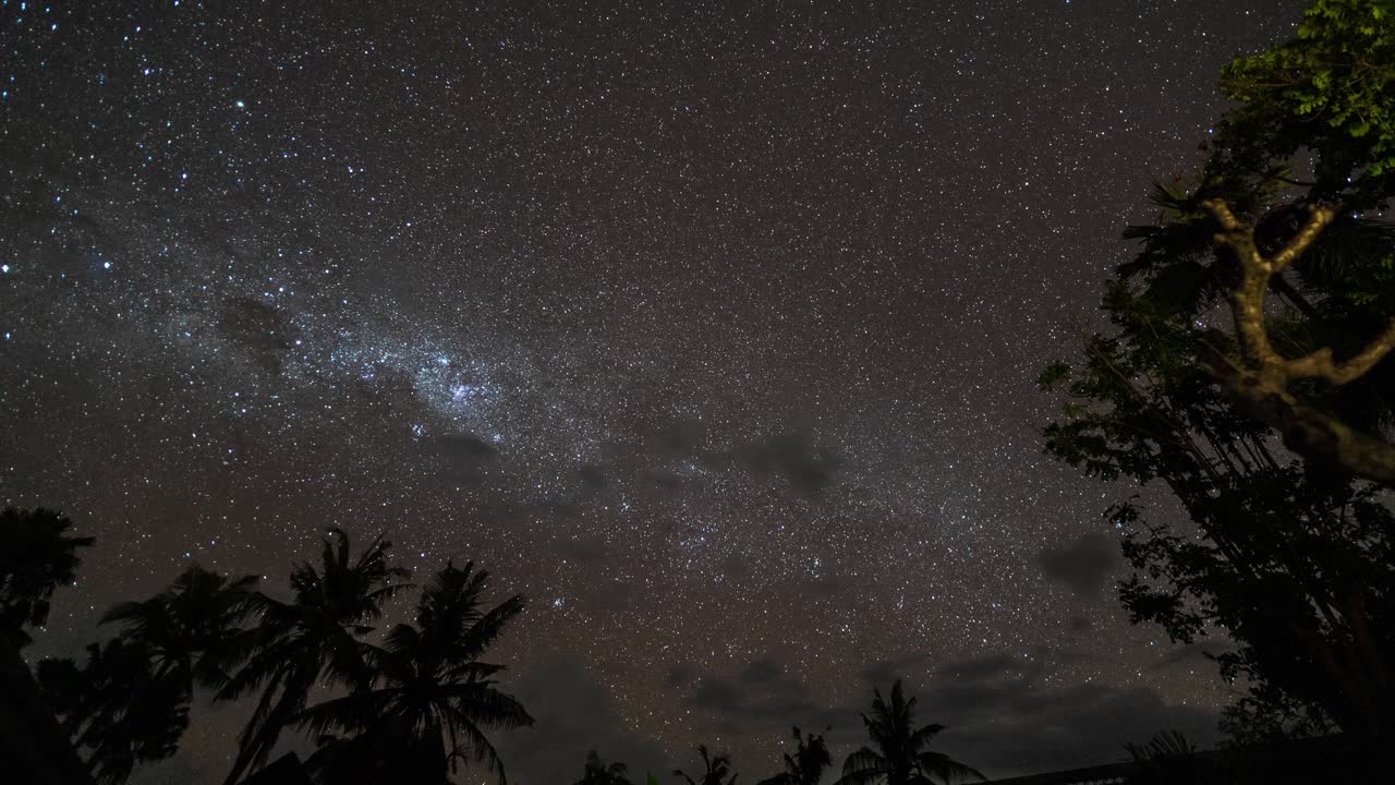 Starry Night Sky Over Tropical Trees