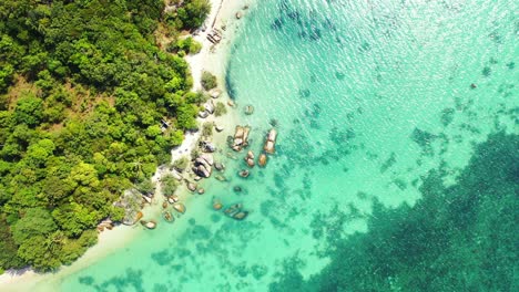 fondo de playa tropical