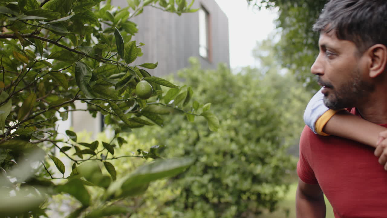 Indian father and young son examining leaves in garden, bonding and exploring nature