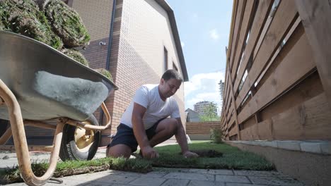 gardener laying a roll of natural lawn turf