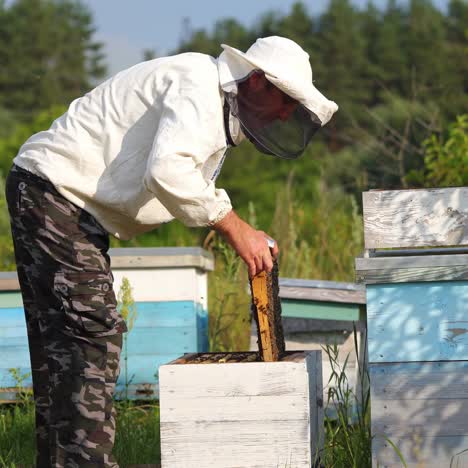 beekeeper is working with bees and beehives on the apiary. beekeeper on apiary