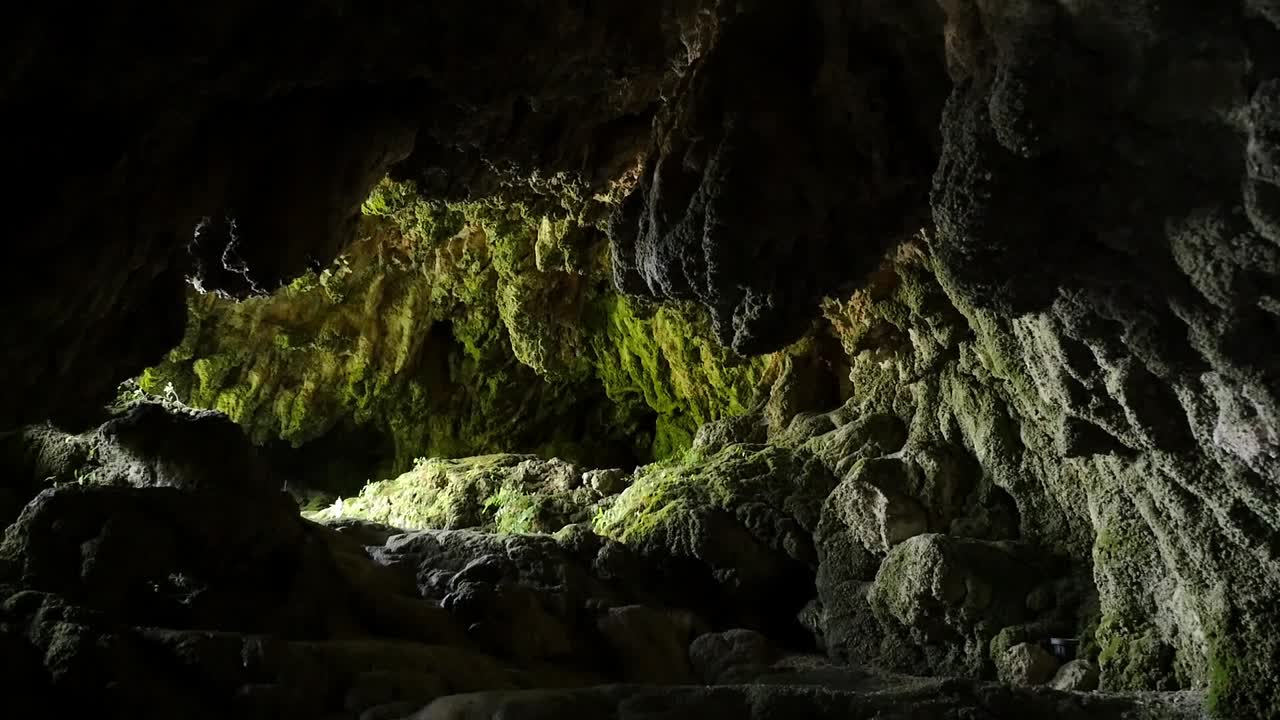 View of a natural cave, where high humidity and dim filtered light have fostered the growth of dense, glossy green moss over the rough rock formations